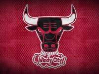 FB体育在线-帕尔默冠军级表现闪耀，奥地利战术压制墨西哥的战术解析