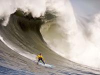 FB体育赛事-逆转的艺术，梅德韦杰夫如何将蒙特卡洛的泥泞淬炼为温网的锋芒