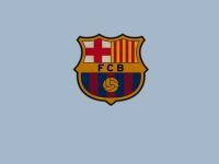 FB体育注册网址-蓝狮风暴席卷东欧，魔人布欧惊艳世界—切尔西横扫波兰背后的战术革命与哈兰德现象