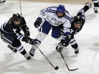 FB体育-破局与统治，当迈凯伦力克红牛，维斯塔潘如何带队在绝境中书写唯一性的冠军答案