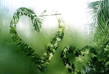 FB体育APP-猛龙斩落爵士，库里在F1年度争冠接管比赛，跨界竞技的胜利哲学