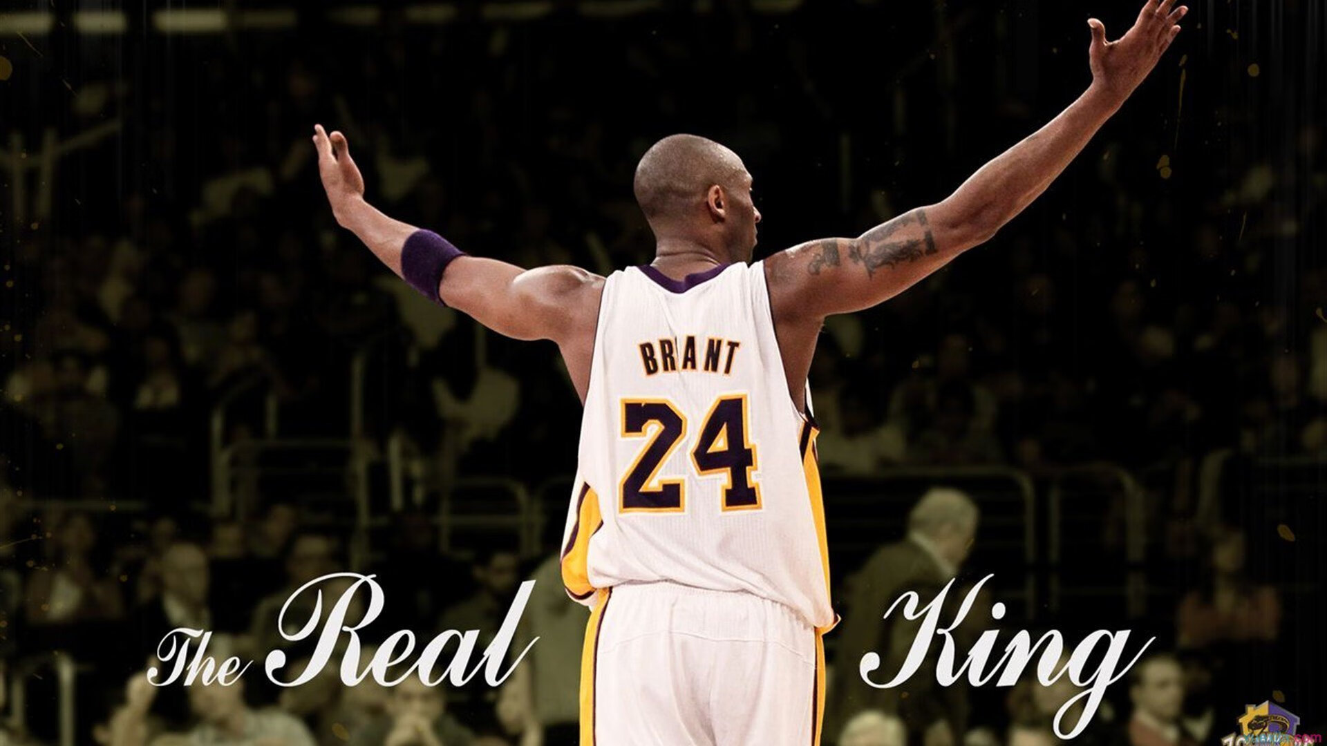 末节之王!西亚卡姆接管辽粤大战,辽宁力克广东